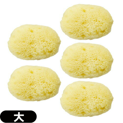 ڥͥݥ̵ۡŷݥ󥸡ۥ楿 ŷʥݥ(եݥ) (5~7cm)x5ĥå/(NATURAL SEA...