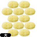◆【ネコポス送料無料】【天然スポンジ】ユタカ 天然海綿スポンジ(フェイススポンジ) 大(約5~7cm)x12個セット/(NATURAL SEASPONGE ナチュラル・シースポンジ) ※完全包装でお届け致します。【smtb-s】
