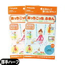 【メール便(日本郵便) ポスト投函 送料無料】テイジン(TEIJIN) あっちこっちふきん 厚手版 ハーフ (33x24cm) 全2色より選択 - ふき取り性を...