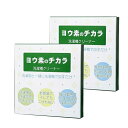 【当日出荷(土日祝除)】【メール便(日本郵便) ポスト投函 送料無料】【洗濯槽クリーナー】マリーヌ ヨウ素のチカラ x2箱セット - ヨウ素の力で洗濯槽と洗濯物をスッキリ除菌!洗濯物も除菌するので気になる部屋干し時のニオイ予防効果も【smtb-s】