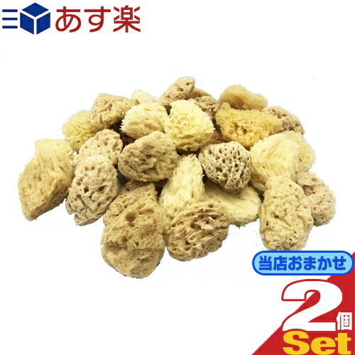 商品詳細 商品名 ハニカム 天然海綿スポンジ (NATURAL SEASPONGE) サイズ 縦横:約6〜7cm 厚み:約2cm 商品説明 ● 柔らかく肌ざわりの優しい海綿スポンジです。 ● なめらかで優しい肌ざわりで、泡立ちもよく、毛穴の汚れもしっかり落とします。 ● お肌の弱い方にもお使いいただけます。 ● 洗顔やファンデーション用に、使いやすい大きさに切ってお使いいただけます。 ※天然素材使用のため、大きさ・形・色にはばらつきがあります。 メーカー ユタカ株式会社 広告文責 一歩株式会社 03-6909-7699