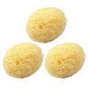 【ネコポス送料無料】【フェイス&ボディスポンジ】ユタカ Rich(リッチ) 海綿スポンジ (約7x5cm) x 3個セット - SEASPONGE・シースポンジ...