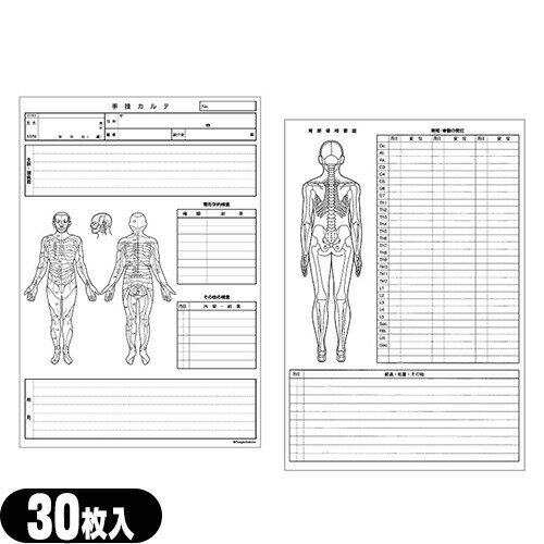 【ネコポス送料無料】手技カルテ 小 (A4判変形) x 30枚入 (SC-271)【smtb-s】