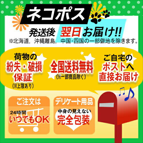 【あす楽発送 ポスト投函！】【送料無料】【医療用テープ】3M マイクロポアーサージカルテープ スキントーン 1533-1 全長9.1m×幅2.5cm (25mm) x5巻 - 肌になじんで目立ちにくいテープ。傷あとの保護・まつエクの施術・美容ケア【ネコポス】【smtb-s】 3