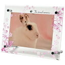 アクリルフォトフレーム 横型 L判サイズ ピンク 【祈りの仏具店オリジナル】