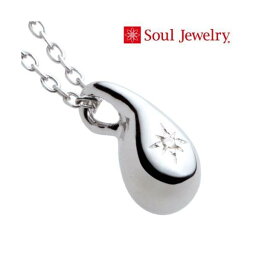 遺骨ペンダント Soul Jewelry ドロップ Pt900 プラチナ　チェーン45cm