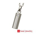 遺骨ペンダント Soul Jewelry チタン　アクシス　プレーン