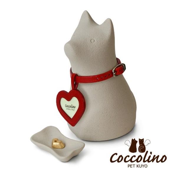 Coccolino�����å��꡼�Ρ�������A�����졼�ʥե��ȥ��㡼�ࡧ�ϡ��ȡ�