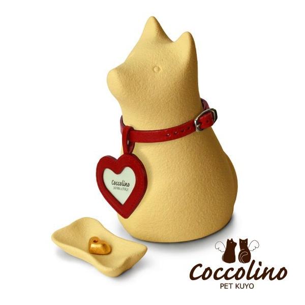 Coccolino�����å��꡼�Ρ�������A�����������ʥե��ȥ��㡼�ࡧ�ϡ��ȡ�