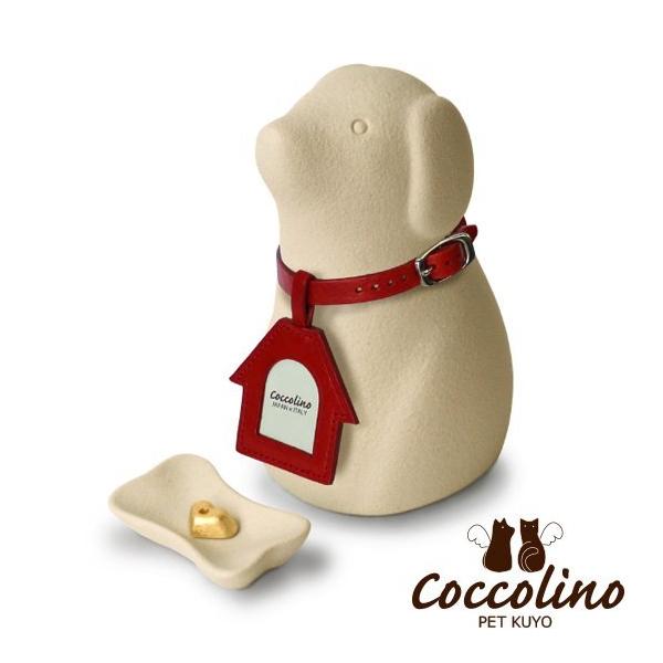 Coccolino�����å��꡼�Ρ�������B���ۥ磻�ȡʥե��ȥ��㡼�ࡧ�ϥ�����