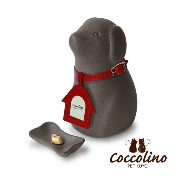 Coccolino�����å��꡼�Ρ�������B���֥�å��ʥե��ȥ��㡼�ࡧ�ϥ�����