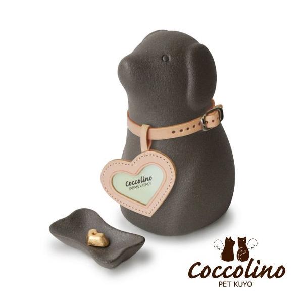 Coccolino�����å��꡼�Ρ�������B���֥�å��ʥե��ȥ��㡼�ࡧ�ϡ��ȡ�