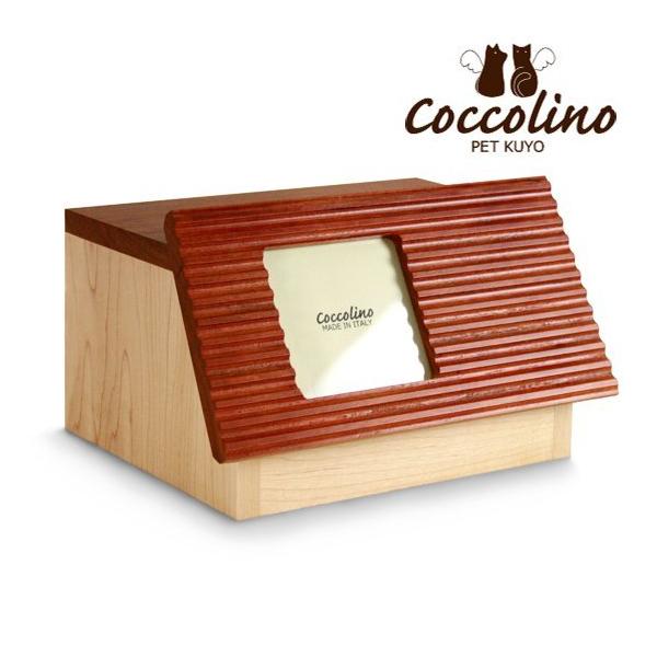 Tetto　テット　ステージ　Coccolino　コッコリーノ