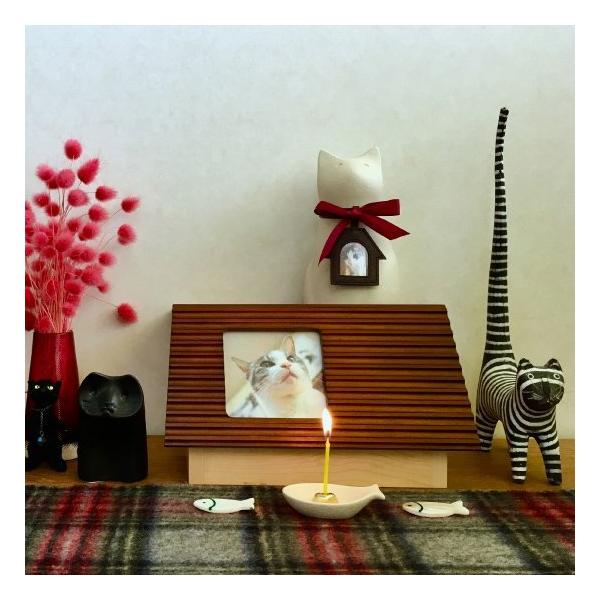 Tetto���ƥåȡ����ơ�����Coccolino�����å��꡼��