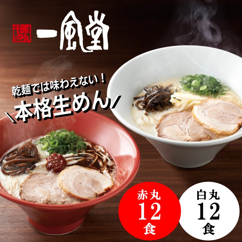 【 カレー ラーメン スープ 5袋セット 】 ラーメン スープのみ スープだけ プレゼント 内祝い ギフト メッセージカード お取り寄せ グルメ 人気 スープ タレ ご当地 詰め合わせ メール便 カレー 北海道 組み合わせ