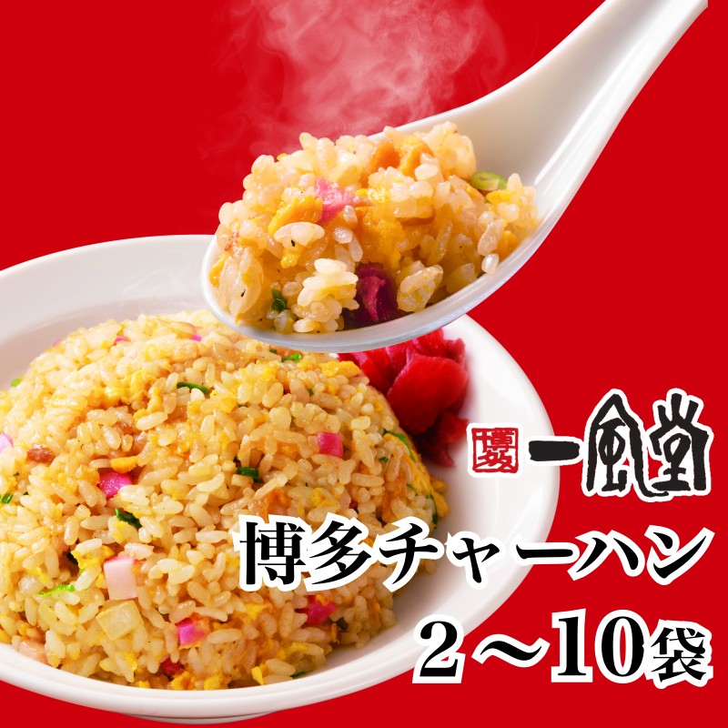一風堂 チャーハン 冷凍 選べる 2~10人前 1袋230g 炒飯 冷凍食品 おかず マラソン 買い回り まとめ買い お得 新発売 新商品 おうちでIPPUDO