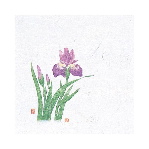 ヤマコー 用美 業務用 4寸OP懐石敷紙 菖蒲 (100枚入) yamaco65112