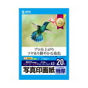 ■商品内容【ご注意事項】この商品は下記内容×5個セットでお届けします。【商品説明】●デジカメ写真の印刷に最適な写真印画紙ベースの超つやつやの写真用紙。【まるで写真！】のプロ並みの仕上り。●肌色をより実物に近く、美しく艶やかに表現します。●しっかりとコシのある0.26mmの特厚タイプ。スナップ写真にぴったり。●速乾性に大変優れ、印刷後の取り扱いがとてもカンタンです。保存性もアップ。※エプソンPM-4000PX、PX-5600、PX-G・V・Aシリーズなどの全色顔料系インクを使用したプリンタにも対応します。ただし、黒など濃度の高い色のベタ部分で油状の光沢感が出ることがあります。※用紙の表面はすぐ乾きますが、用紙内部のインクの十分な乾燥には時間がかかります。乾燥が不十分な状態で保管すると、ニジミの生じるおそれがありますので、【保管上の注意】をよく読んで用紙を保管してください。■商品スペック■入数：20枚■白色度：92%■紙厚：0.26±0.012mm■坪量：255g/ ±10g/■紙質マーク_表面：フォト光沢■ベース：印画紙ベース■用紙サイズ：A3■用紙寸法：297×420mm■印刷面マーク：片面■使用プリンター：インクジェットプリンター■対応インク：顔料・染料両対応■柄：印字柄なし■ペーパーミュージアム掲載：なし※サイズ・重量の記載がある場合は概算表記です。■送料・配送についての注意事項●本商品の出荷目安は【4 - 6営業日　※土日・祝除く】となります。●お取り寄せ商品のため、稀にご注文入れ違い等により欠品・遅延となる場合がございます。●本商品は仕入元より配送となるため、沖縄・離島への配送はできません。【 JP-EP2NA3NX5 】