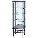 コレクションケース 約幅486mm スタンド 4段 ミラータイプ ブラック 組立品 リビング ダイニング インテリア家具【代引不可】