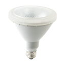 東京メタル工業 LED電球 屋外用ビームランプ 昼白色 150W相当 口金E26 LDR14N150W-T2(3)