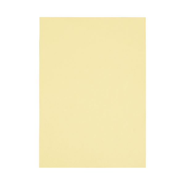 スマートバリュー カラーペーパー特厚A3 CREAM1000枚 A285J-2
