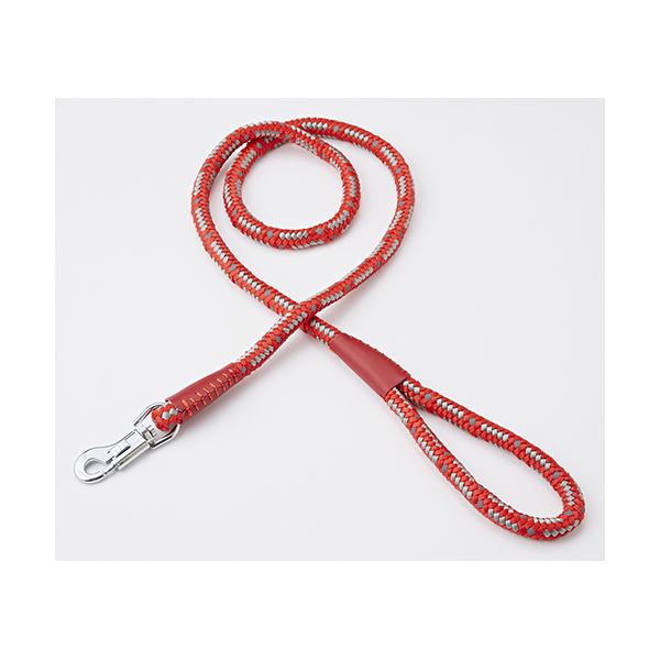 （まとめ）NEW ネオンリード 10mm レッド【×3セット】 (犬用品/リード)