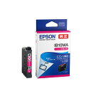 i EPSON CNJ[gbW }[^ IB10MA