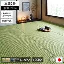 い草風 ラグマット/絨毯 【グリーン 本間2畳 約191×191cm】 洗える 日本製 防ダニ PPカーペット 〔リビング〕【代引不可】(3)