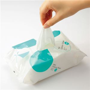 （まとめ） TANOSEE おそうじシート ノンアルコール除菌 1パック（40枚） 【×10セット】