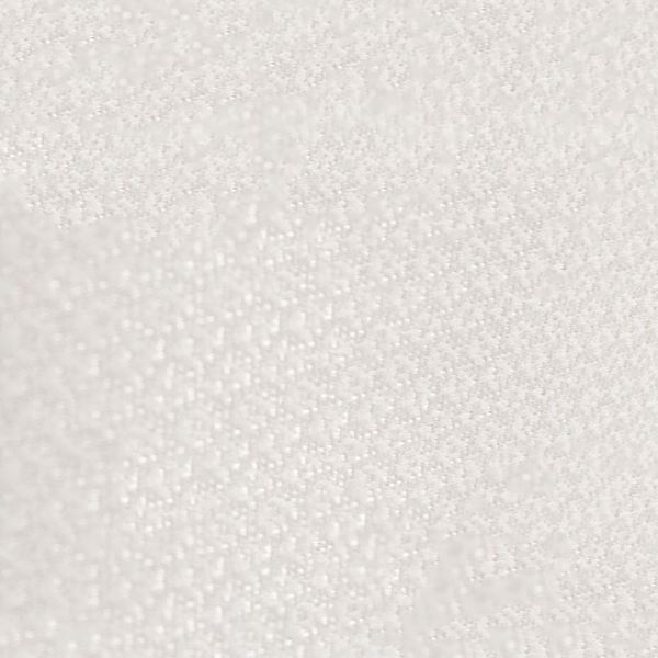 採光レースカーテン 目隠し / 2枚組 100×176cm リスター / UVカット機能付き 遮熱 遮像 洗える 九装