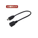 ϊl 10Zbg USBminiP[u20itj USBM5^CA20FX10