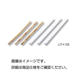 (まとめ)ニワトコ芯(ピス)10本組【×3セット】