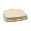 (まとめ) パックスタイル BB竹バガス弁当 N23-23F 共蓋 235×235×高さ18mm 1パック(50枚) 【×3セット】