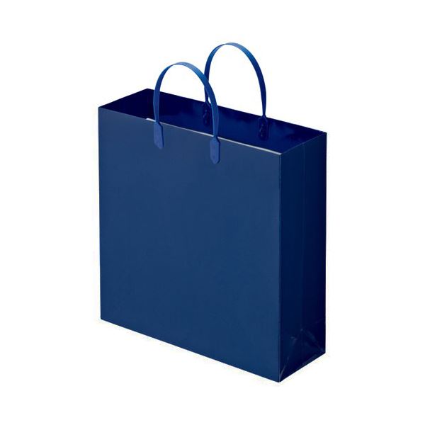 (まとめ) TANOSEE ラミネートバッグ 中 ヨコ320×タテ320×マチ幅110mm 紺 1パック（10枚） 【×10セット】