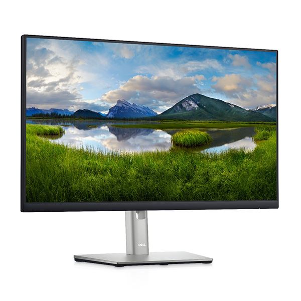 Dell Technologies プロフェッショナルシリーズ 23.8インチ USB-C HUBモニタ/1920×1080/HDMI、DisplayPort、USB-C/ブラック/スピーカー:なし(良品先出しサービス保証付き) P2422HE