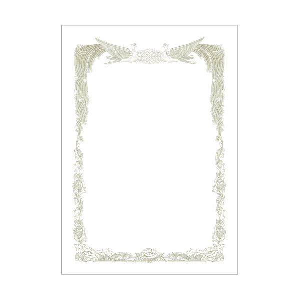 (まとめ) ヒサゴ 賞状枠用紙 A5タテCJ171A5S 1冊(10枚) 【×30セット】