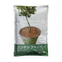 (まとめ)プロトリーフ ココヤシファイバー ナチュラル 100g 1パック 【×10セット】