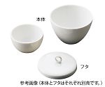 Rakuten - 磁製るつぼ 100mL用フタNC3-6748-013-6717-07 　送料込み！