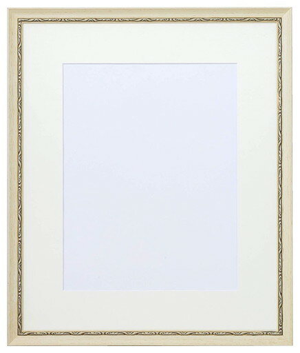 ラーソン・ジュール・ニッポン モナコ白 水彩F10 アクリル DB36276 　送料込み！