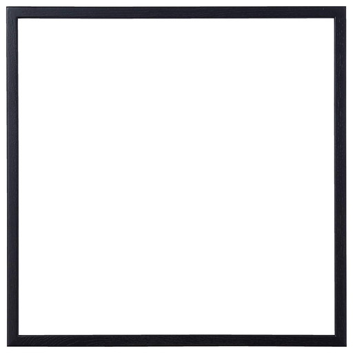 ラーソン・ジュール・ニッポン D816黒 50角 アクリル D816419 (1307555) 　送料込み！