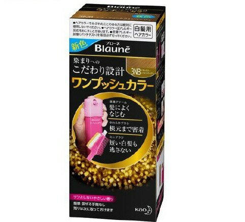 ブローネ ワンプッシュカラー 3NB ナチュラリーシフォンベージュ(80g)【ブローネ】[白髪染め]