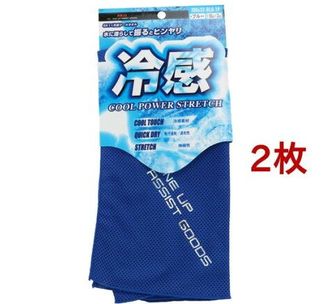 SK11 ONE UP ASSIST GOODS 冷感クールタオル BLU(2枚セット)【SK11】