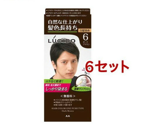 ルシード ワンプッシュケアカラー 6 ダークブラウン(50g+50g*6セット)【ルシード(LUCIDO)】