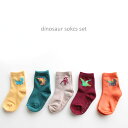 楽天イプニア＜BABY＞＜KIDS＞ac dinosaur sokcs set 5足セット 12-14 14-16のみ滑り止め付き 恐竜 くすみ色 韓国子供服 靴下 キッズ 赤ちゃん オシャレ 女の子 男の子 可愛い キュート ギフト プレゼント お祝い