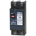 テンパール工業 B32EC30 配線用遮断器 経済タイプ 2P2E 30A