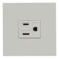 樂天商城 - 神保電器 HTL-1503 NK ミニ接地極付コンセントセット (PW色) 2PE 15A-125V