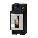 河村電器 SE 2P2E20S ノーヒューズブレーカ SE-S