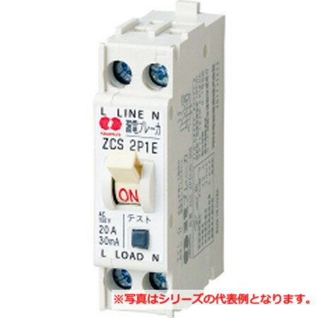 ��¼�Ŵ� ZCS2P1E20-15B ϳ�ť֥졼��