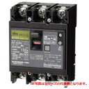 日東工業 GE102CA 2P100A F100 漏電ブレーカ・協約形