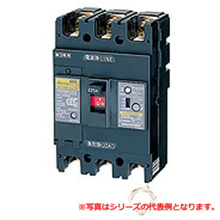 乐天商城 - 日東工業 GE223NA 3P 200A FV 漏電ブレーカ・経済形